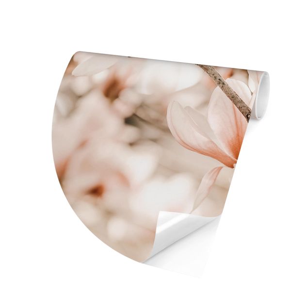 Fototapeta Gałązki magnolii w stylu vintage