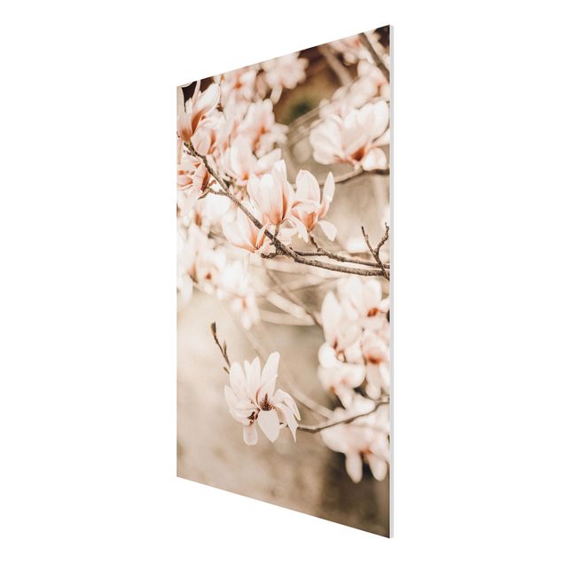 Nowoczesne obrazy Gałązki magnolii w stylu vintage