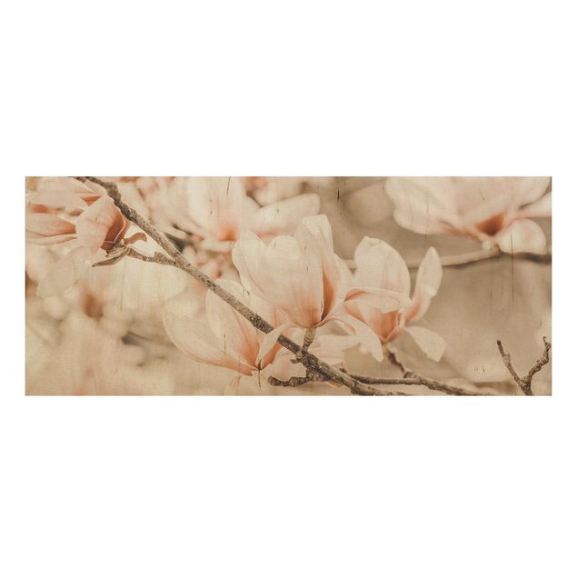 Obrazy Gałązki magnolii w stylu vintage