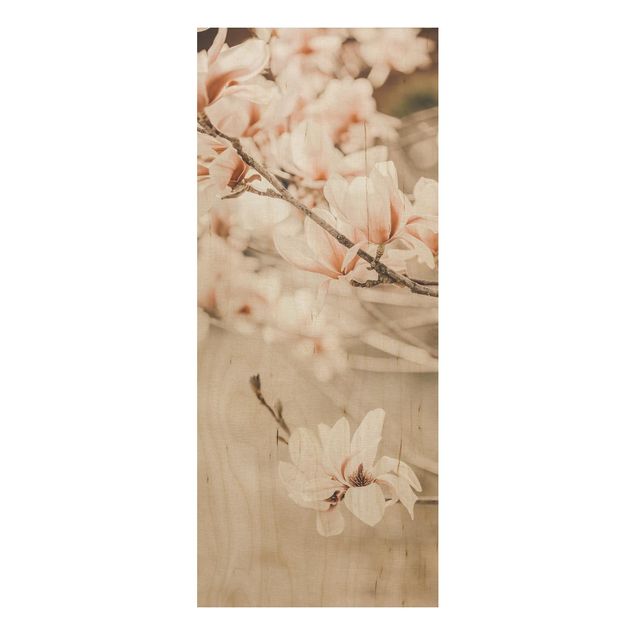 Obrazy Gałązki magnolii w stylu vintage