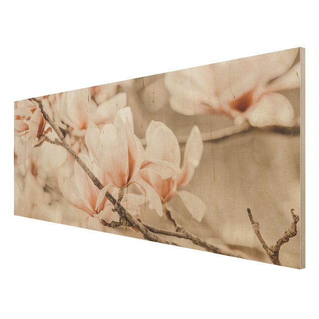 Obrazy na drewnie Gałązki magnolii w stylu vintage