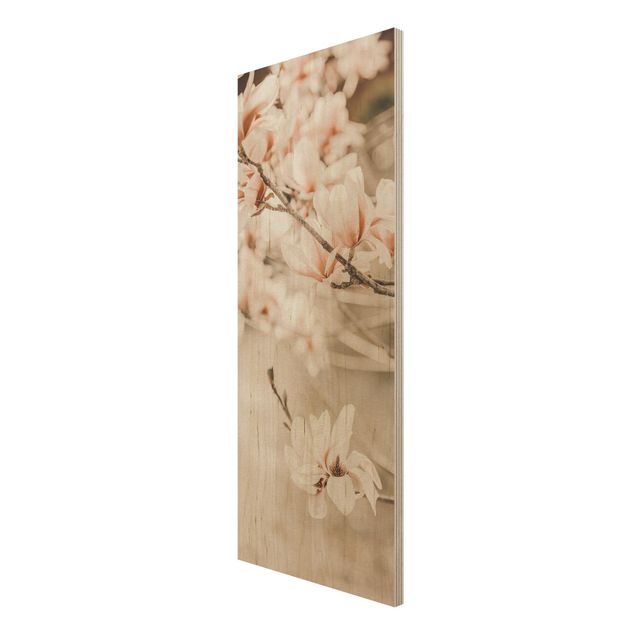 Obrazy na drewnie Gałązki magnolii w stylu vintage