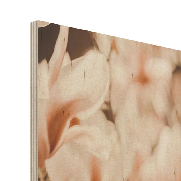 Obraz z drewna - Gałązki magnolii w stylu vintage