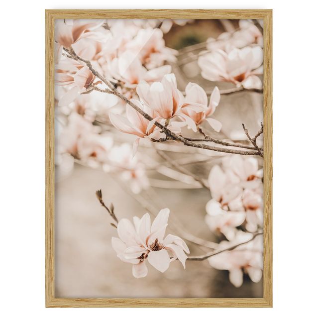 Obrazy w ramie do łazienki Gałązki magnolii w stylu vintage