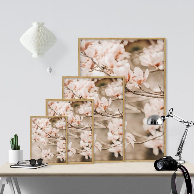 Obrazy w ramie do kuchni Gałązki magnolii w stylu vintage
