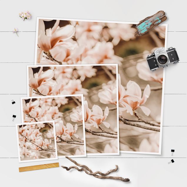 Obraz brązowy Gałązki magnolii w stylu vintage