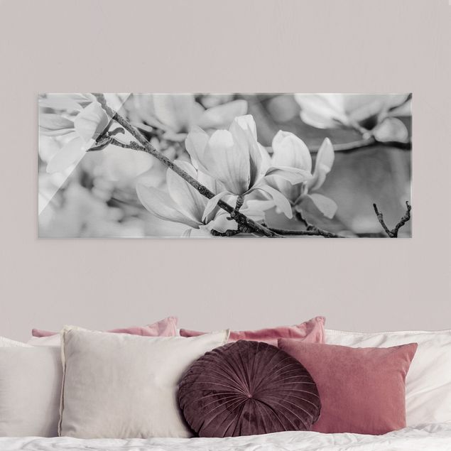 Obrazy na szkle panorama Gałęzie Magnolii Styl Vintage II