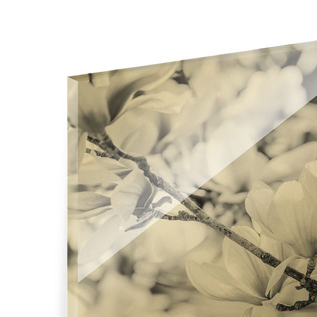 Obraz na szkle - Gałęzie Magnolii Styl Vintage II