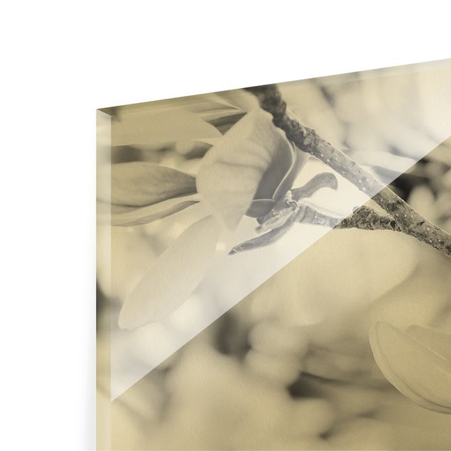 Obrazy retro Gałęzie Magnolii Styl Vintage II