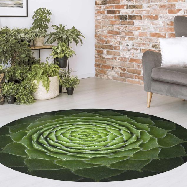 nowoczesny dywan Mandala sukulent