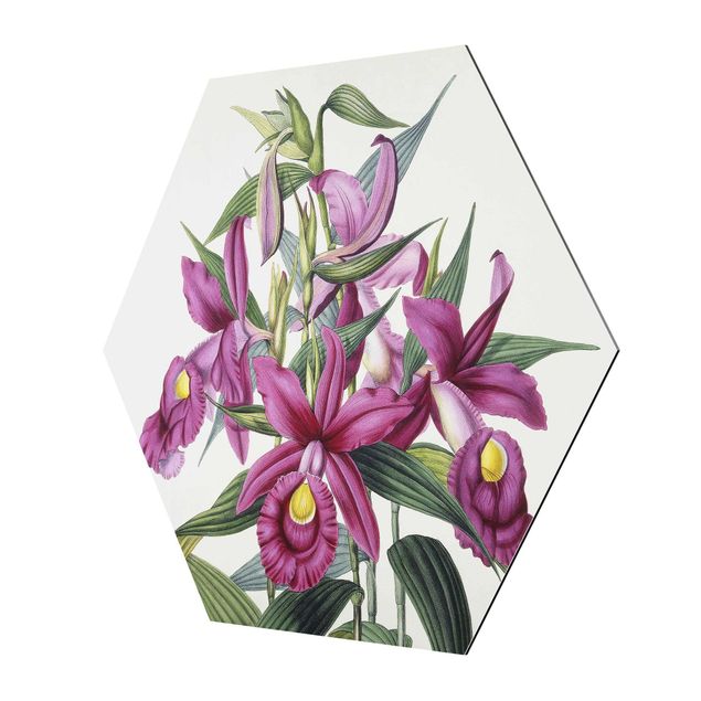 Obrazy na ścianę Maxim Gauci – Orchid I
