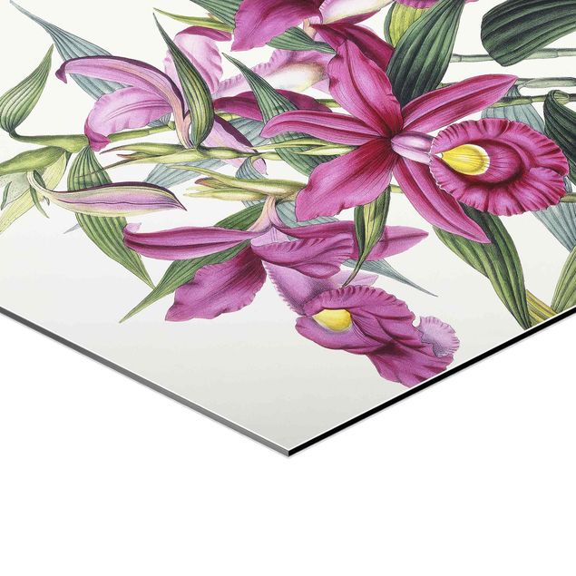 Obraz heksagonalny Maxim Gauci – Orchid I