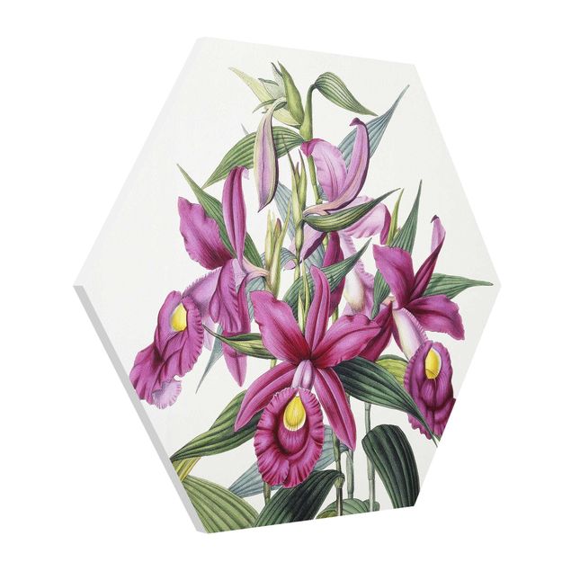 Orchidea obraz Maxim Gauci – Orchid I