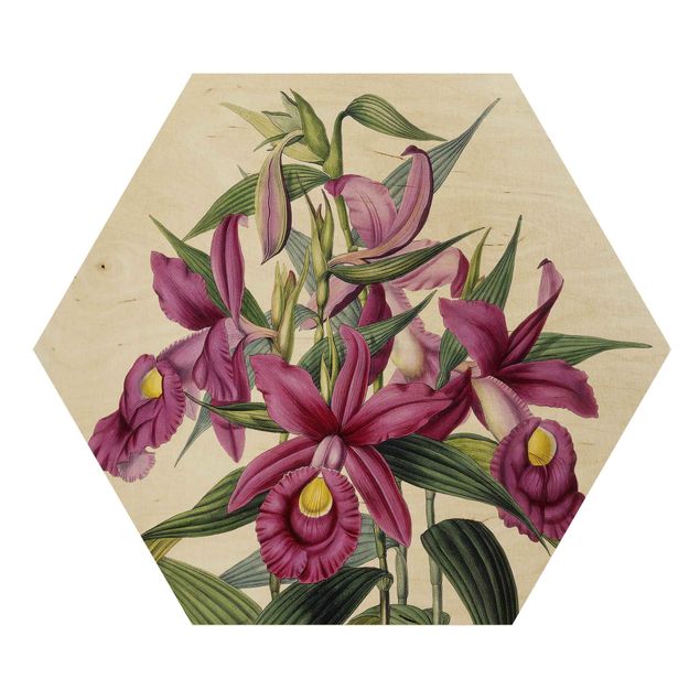 Obrazy motywy kwiatowe Maxim Gauci – Orchid I