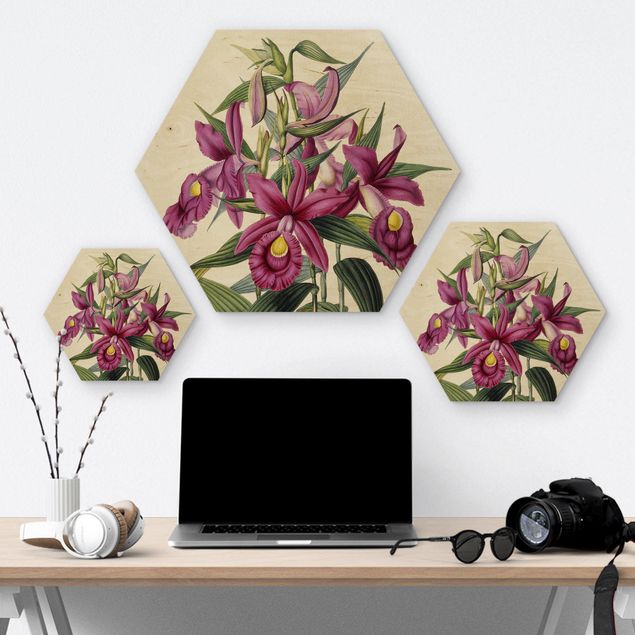 Obraz heksagonalny z drewna - Maxim Gauci – Orchid I