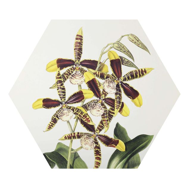 Zielony obraz Maxim Gauci – Orchid II