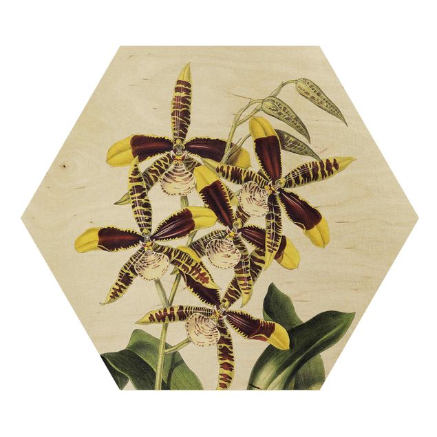 Zielony obraz Maxim Gauci – Orchid II
