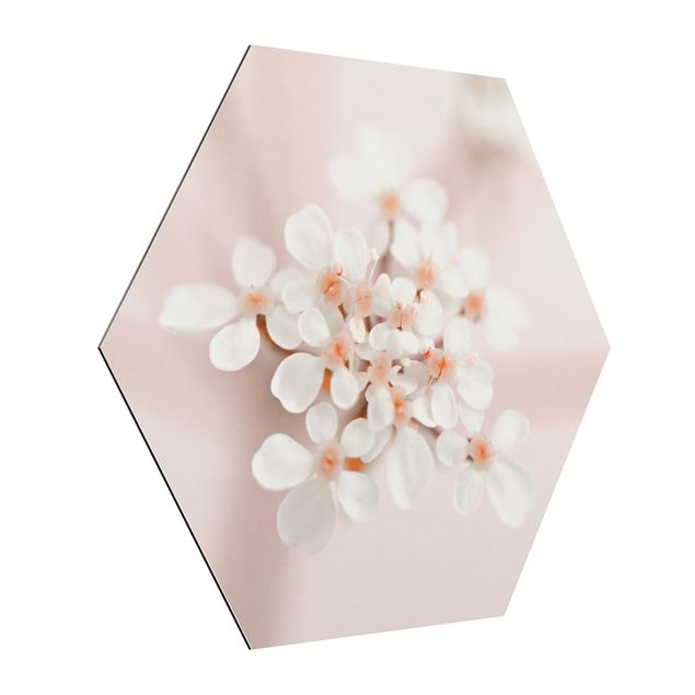 Obrazy z motywem kwiatowym Mini Blossoms w różowym świetle