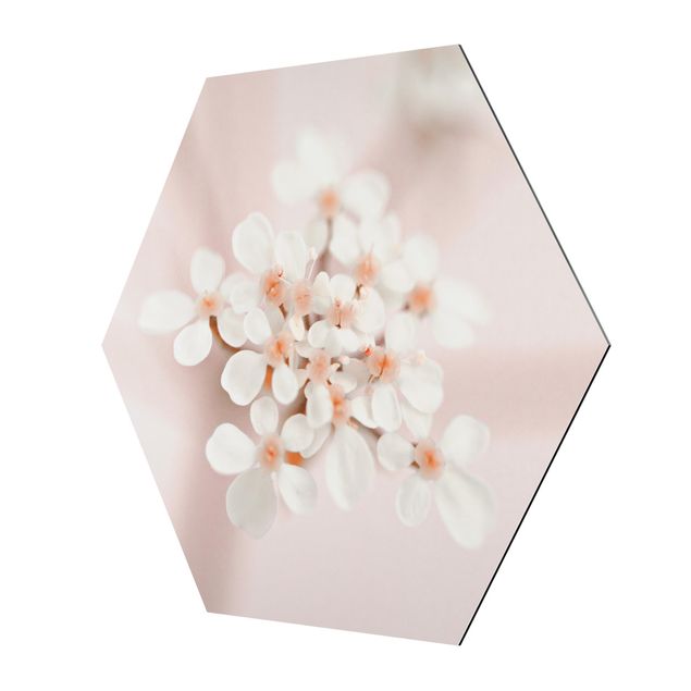 Sześciokątny obraz Mini Blossoms w różowym świetle