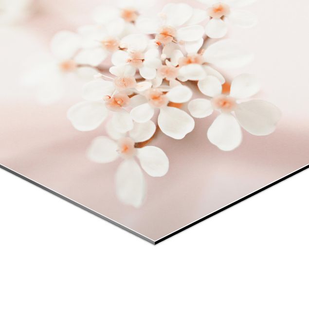 Obraz heksagonalny z Alu-Dibond - Mini Blossoms w różowym świetle