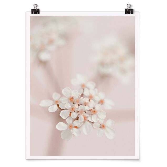 Obrazy kwiatowe Mini Blossoms w różowym świetle