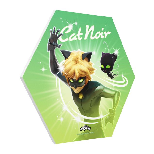Zielony obraz Miraculous Cat Noir And Plagg