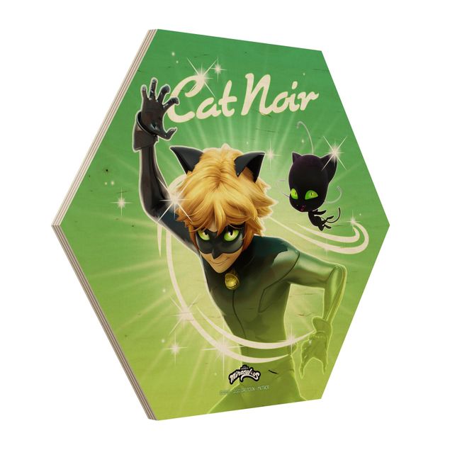 Zielony obraz Miraculous Cat Noir And Plagg