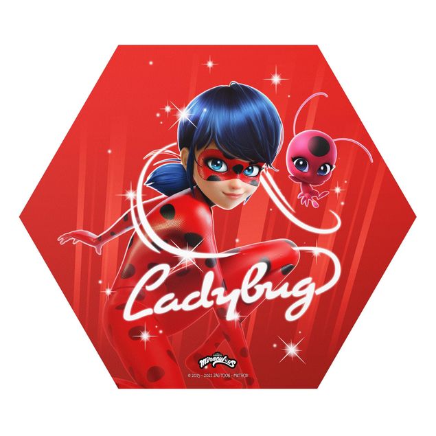 Obrazy Miraculous Ladybug And Trixx