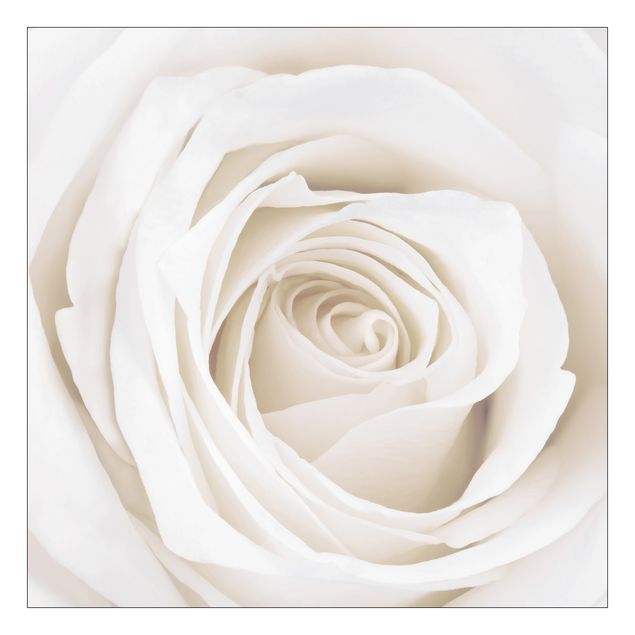 Okleina meblowa IKEA - Lack stolik kawowy - Piękna biała róża