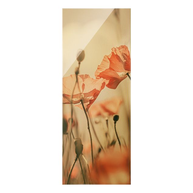 Obrazy do salonu Kwiaty maku na letnim wietrze