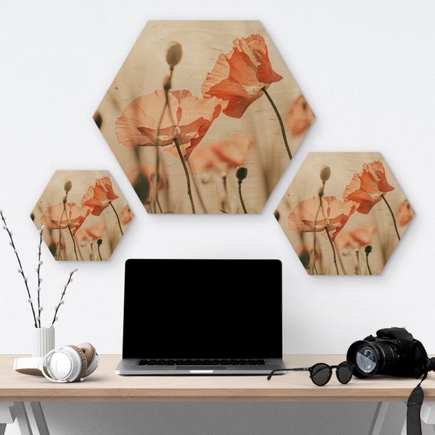 Obraz heksagonalny z drewna - Kwiaty maku na letnim wietrze