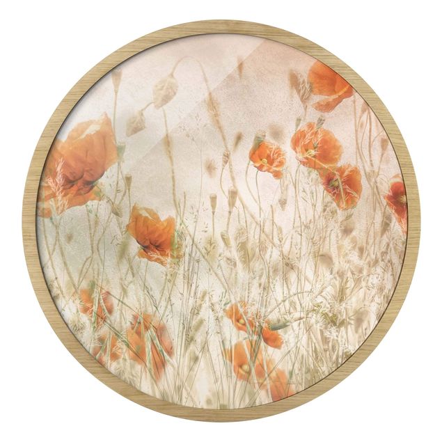 Obraz pomarańczowy Poppy Flowers And Grasses In A Field