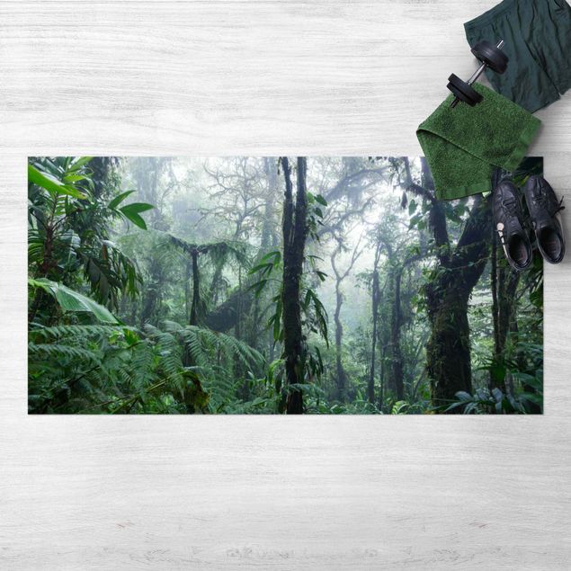 leśny dywan Las chmur Monteverde