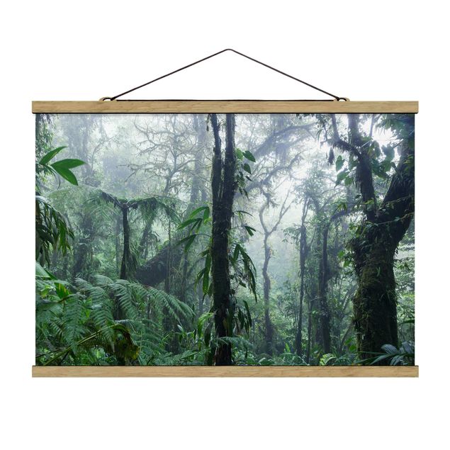 Obrazy na ścianę krajobrazy Las chmur Monteverde