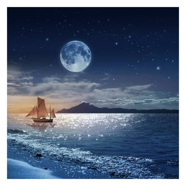 Fototapeta - Morze nocne księżycowe