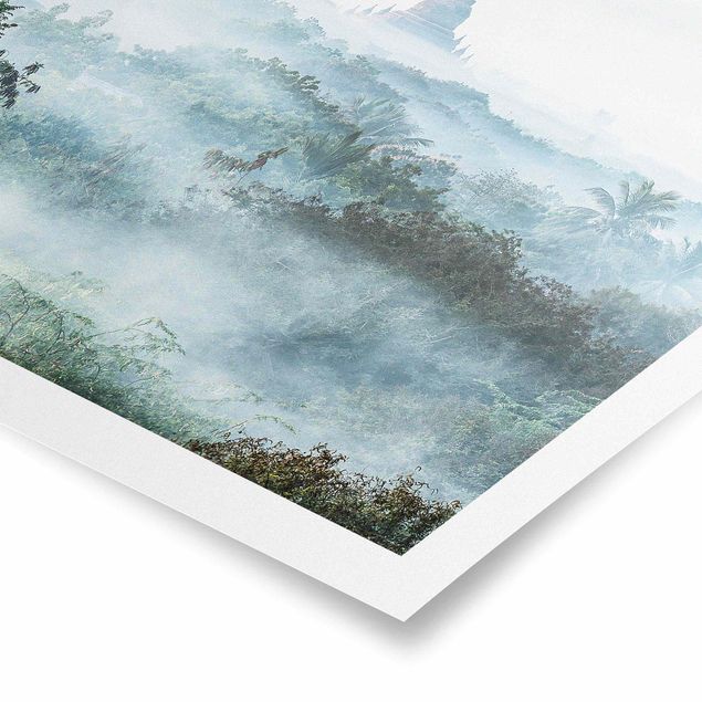 Drzewo obraz Poranna mgła nad dżunglą Bagan