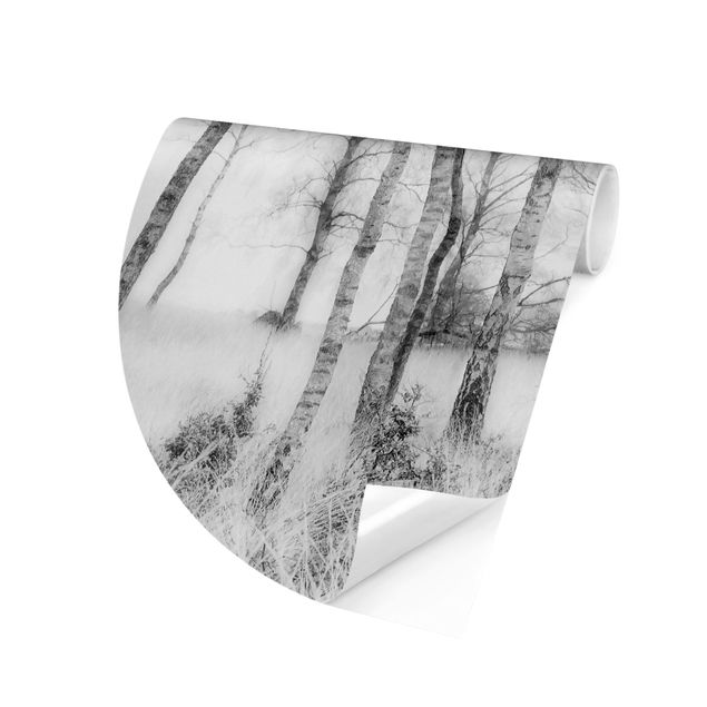 Tapety na ściany Mistyczny las brzozowy czarno-biały