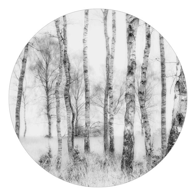 Fototapeta Mistyczny las brzozowy czarno-biały