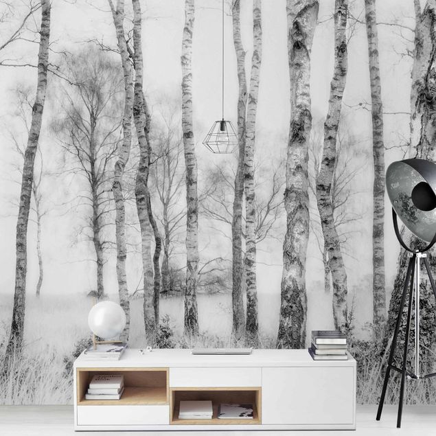 Fototapety Mystic Birch Forest Black And White