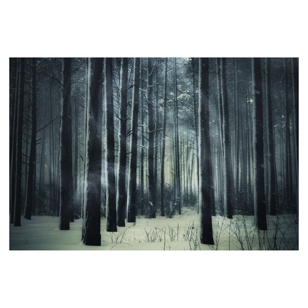 Fototapeta - Mistyczny las zimowy