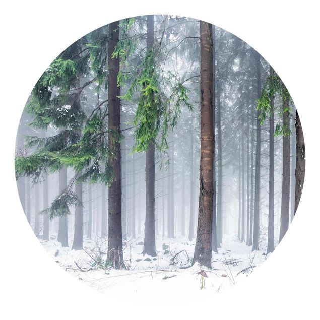Okrągła tapeta samoprzylepna - Drzewa iglaste zimą