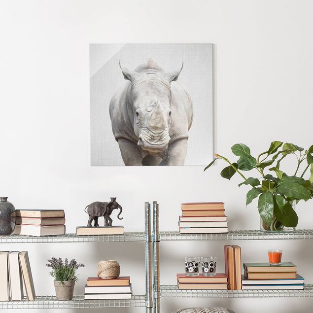 Obrazy na szkle zwierzęta Rhinoceros Nora
