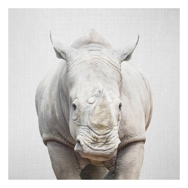 Obrazy nowoczesny Rhinoceros Nora