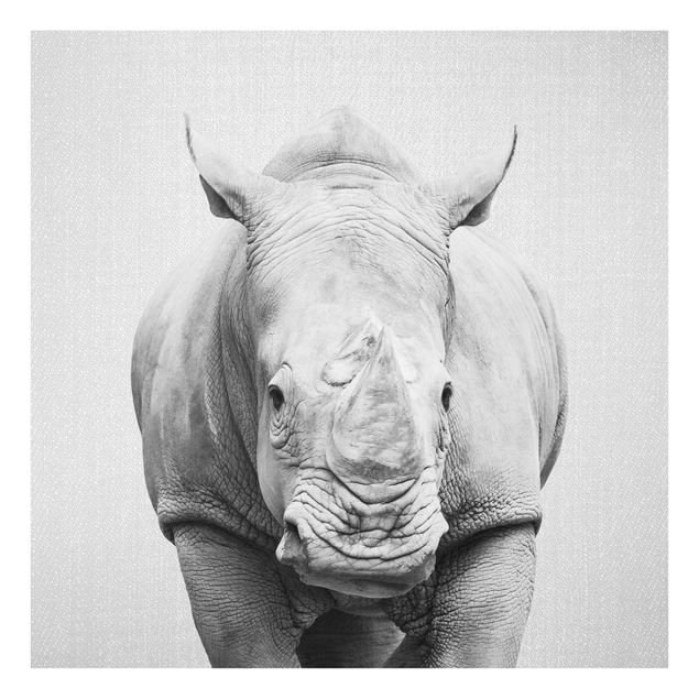 Obrazy nowoczesny Rhinoceros Nora Black And White