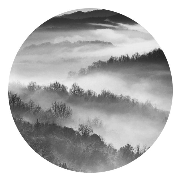 Fototapeta las Sunset Fog czarno-biały