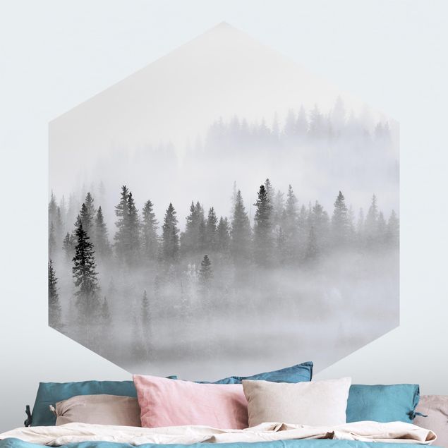 Fototapeta las Mgła w Puszczy Jodłowej Czarno-biała