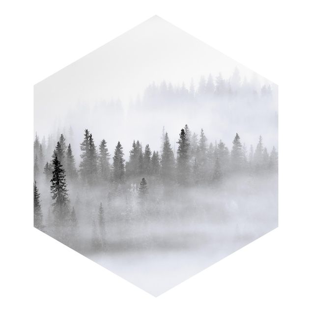 Sześciokątna tapeta samoprzylepna - Mgła w Puszczy Jodłowej Czarno-biała