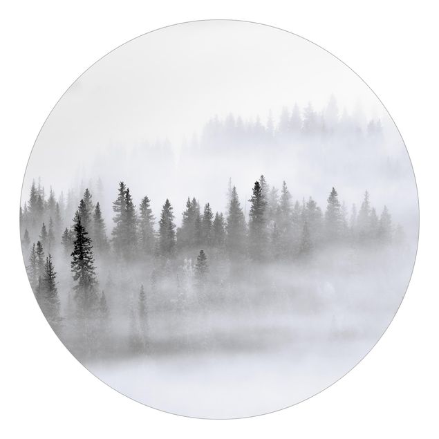 Fototapeta Mgła w Puszczy Jodłowej Czarno-biała