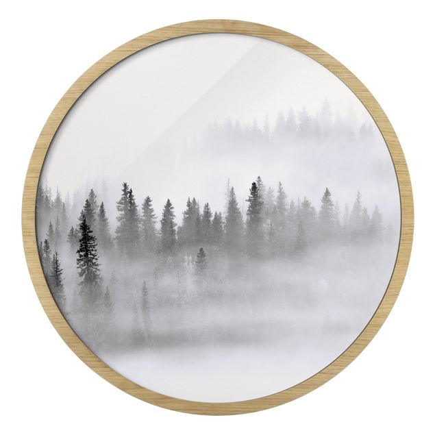 Obrazy drzewa Fog In The Fir Forest Black And White