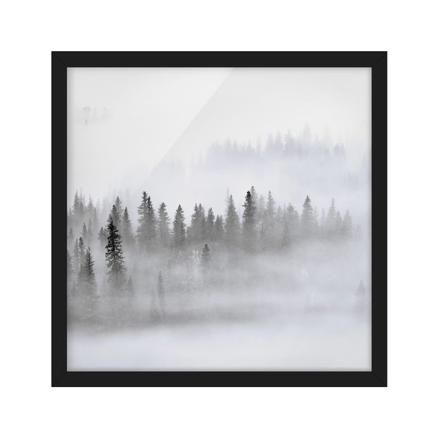 Obrazy w ramie do łazienki Mgła w Puszczy Jodłowej Czarno-biała
